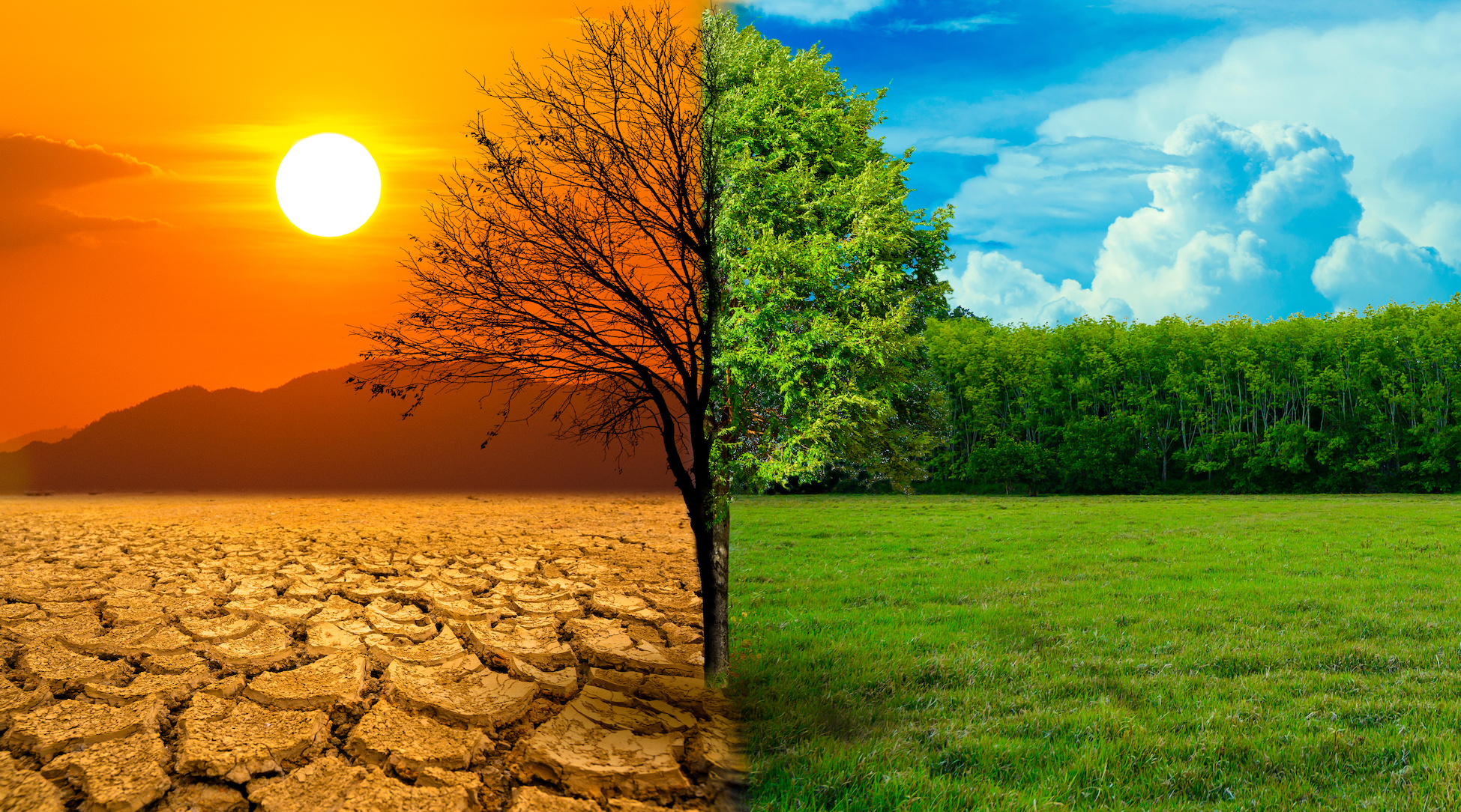 Azərbaycanda iqlim amillərinin sağlamlığa təsirini minimuma endirmək planlaşdırılır