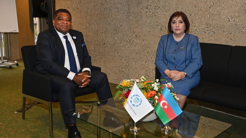 Sahibə Qafarova PAİ-nin baş katibi ilə görüşüb