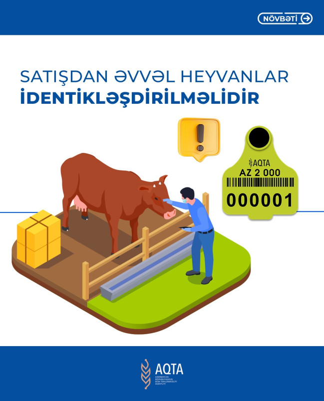 AQTA: Heyvan bazarlarında tələblərə əməl olunmalıdır - Şəkil 3