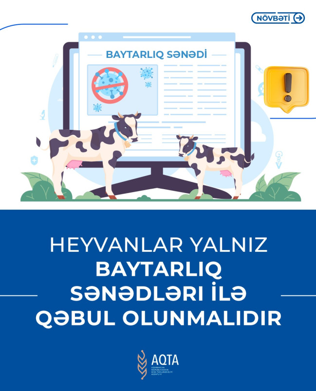 AQTA: Heyvan bazarlarında tələblərə əməl olunmalıdır - Şəkil 4