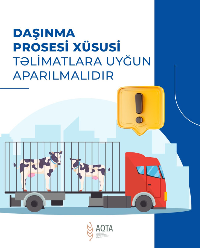 AQTA: Heyvan bazarlarında tələblərə əməl olunmalıdır - Şəkil 7