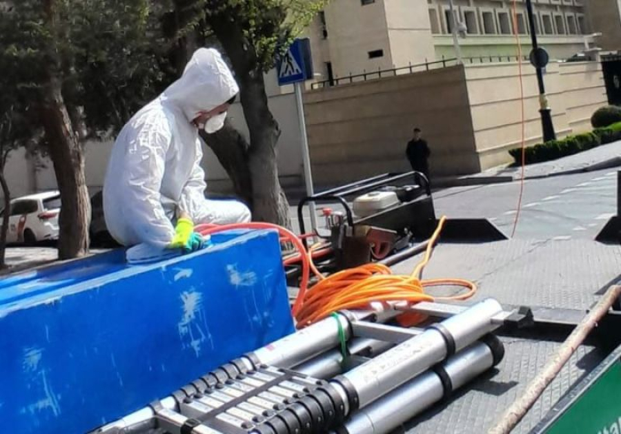 Amerika ağ kəpənəklərinə qarşı profilaktika işləri davam edir - Şəkil 6