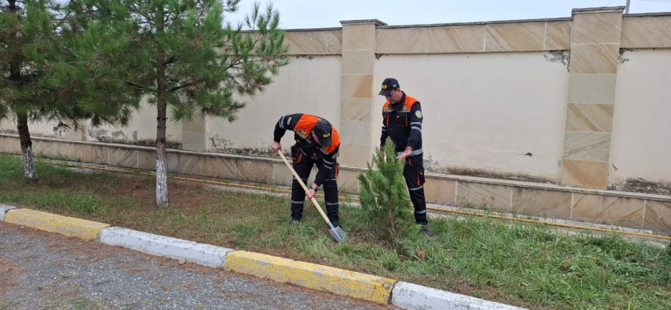 FHN-in Aran Regional Mərkəzi ağacəkmə aksiyası keçirib - Şəkil 1