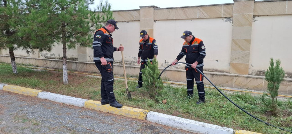 FHN-in Aran Regional Mərkəzi ağacəkmə aksiyası keçirib - Şəkil 2
