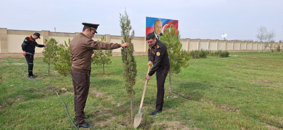 FHN-in Aran Regional Mərkəzi ağacəkmə aksiyası keçirib - Şəkil 5