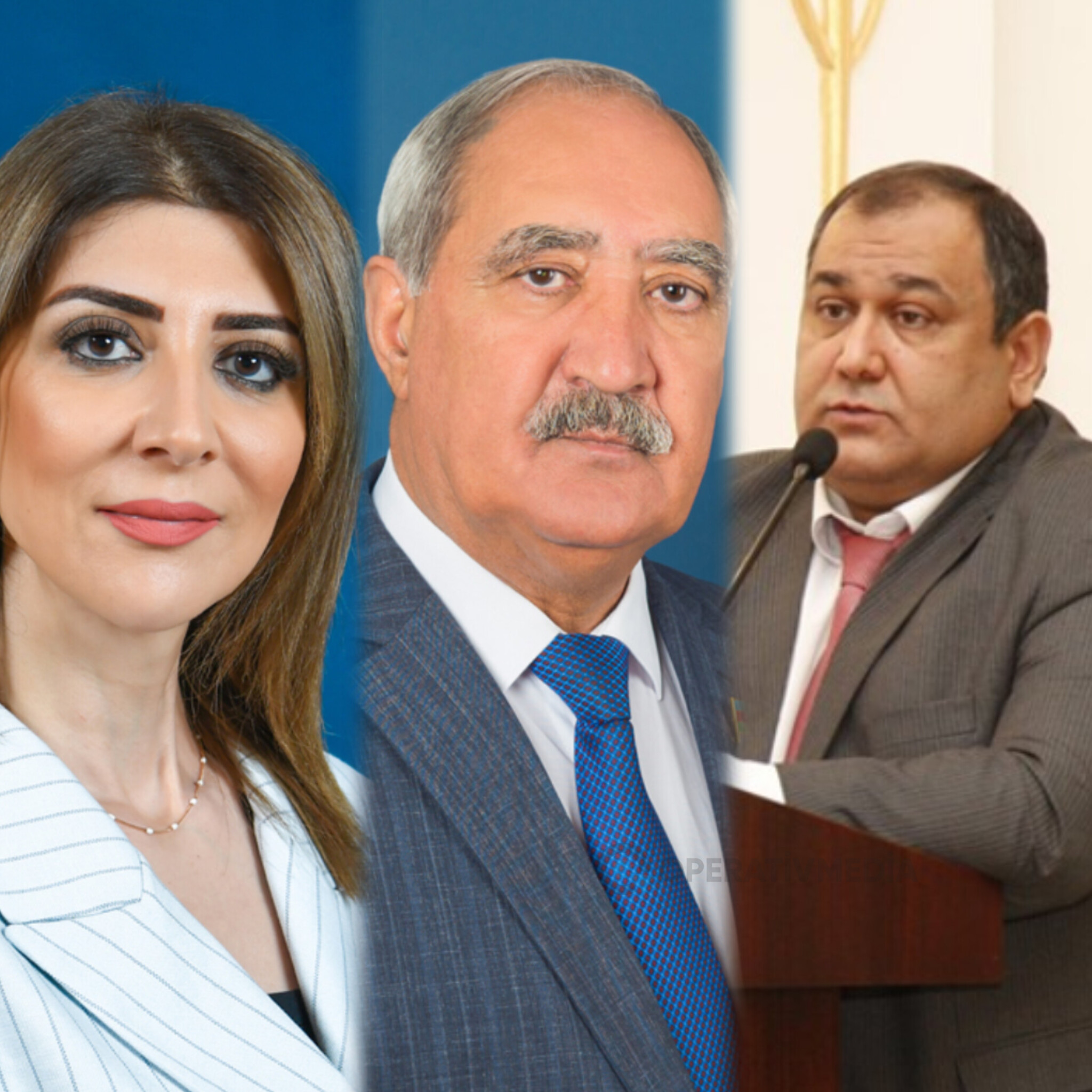 Ana Vətən Partiyasının iclasında nə baş verib?