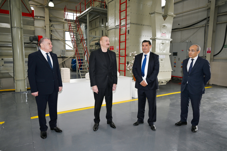 Prezident Sabirabadda pambıq emalı zavodunun fəaliyyəti ilə tanış olub - Şəkil 1