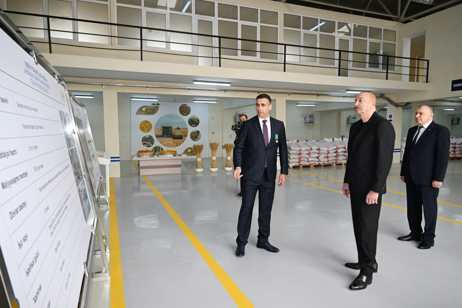 Prezident Sabirabad Sənaye Məhəlləsində toxum istehsalı müəssisəsinin fəaliyyəti ilə tanış olub - Şəkil 1
