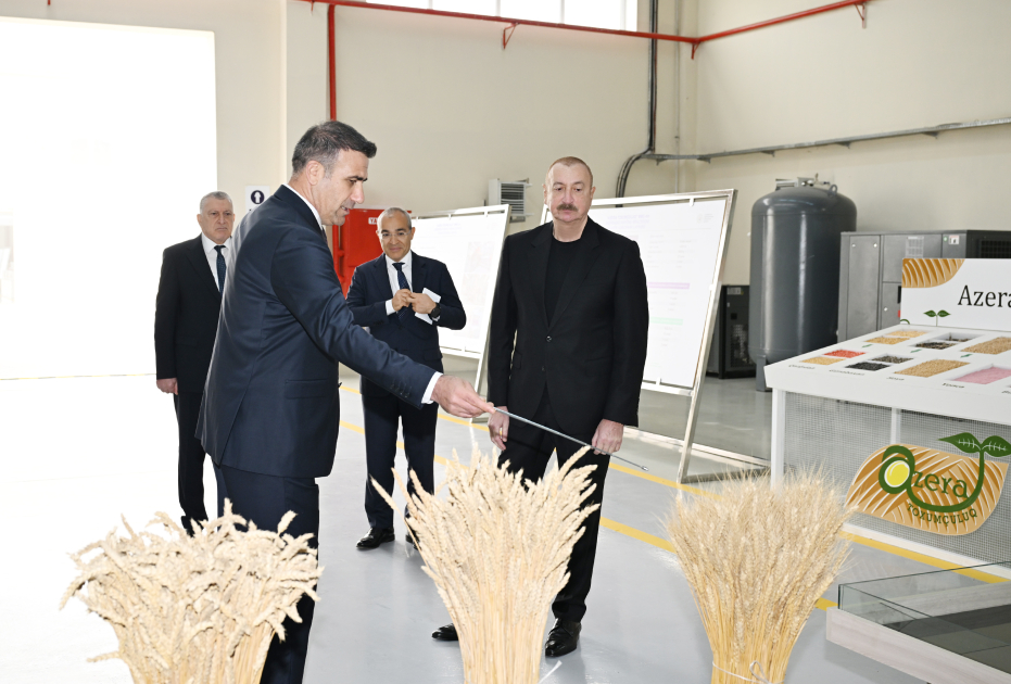 Prezident Sabirabad Sənaye Məhəlləsində toxum istehsalı müəssisəsinin fəaliyyəti ilə tanış olub - Şəkil 11