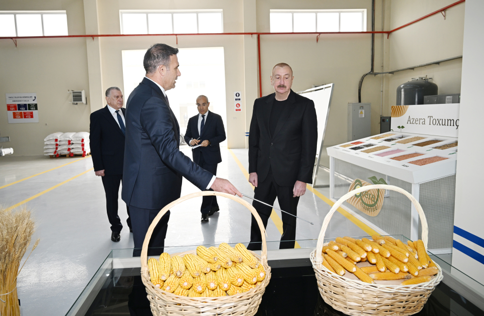 Prezident Sabirabad Sənaye Məhəlləsində toxum istehsalı müəssisəsinin fəaliyyəti ilə tanış olub - Şəkil 12