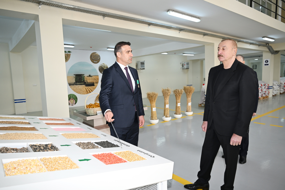 Prezident Sabirabad Sənaye Məhəlləsində toxum istehsalı müəssisəsinin fəaliyyəti ilə tanış olub - Şəkil 13