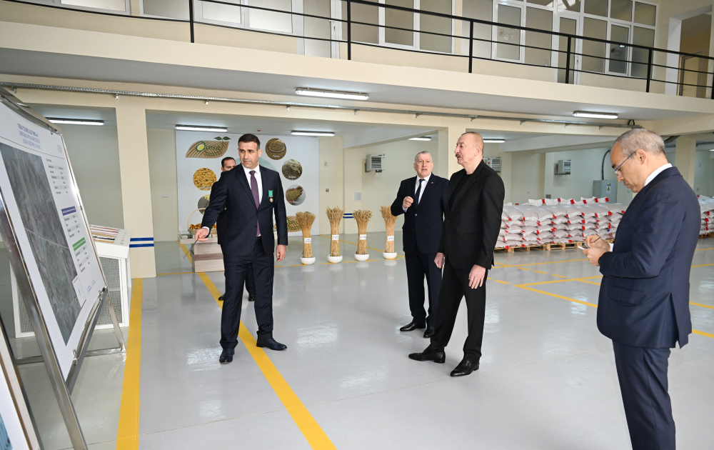 Prezident Sabirabad Sənaye Məhəlləsində toxum istehsalı müəssisəsinin fəaliyyəti ilə tanış olub - Şəkil 14