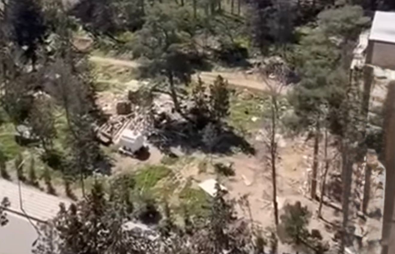 Sumqayıtda ağac kəsilmə faktı üzə prosessual araşdırma aparılır - Şəkil 1