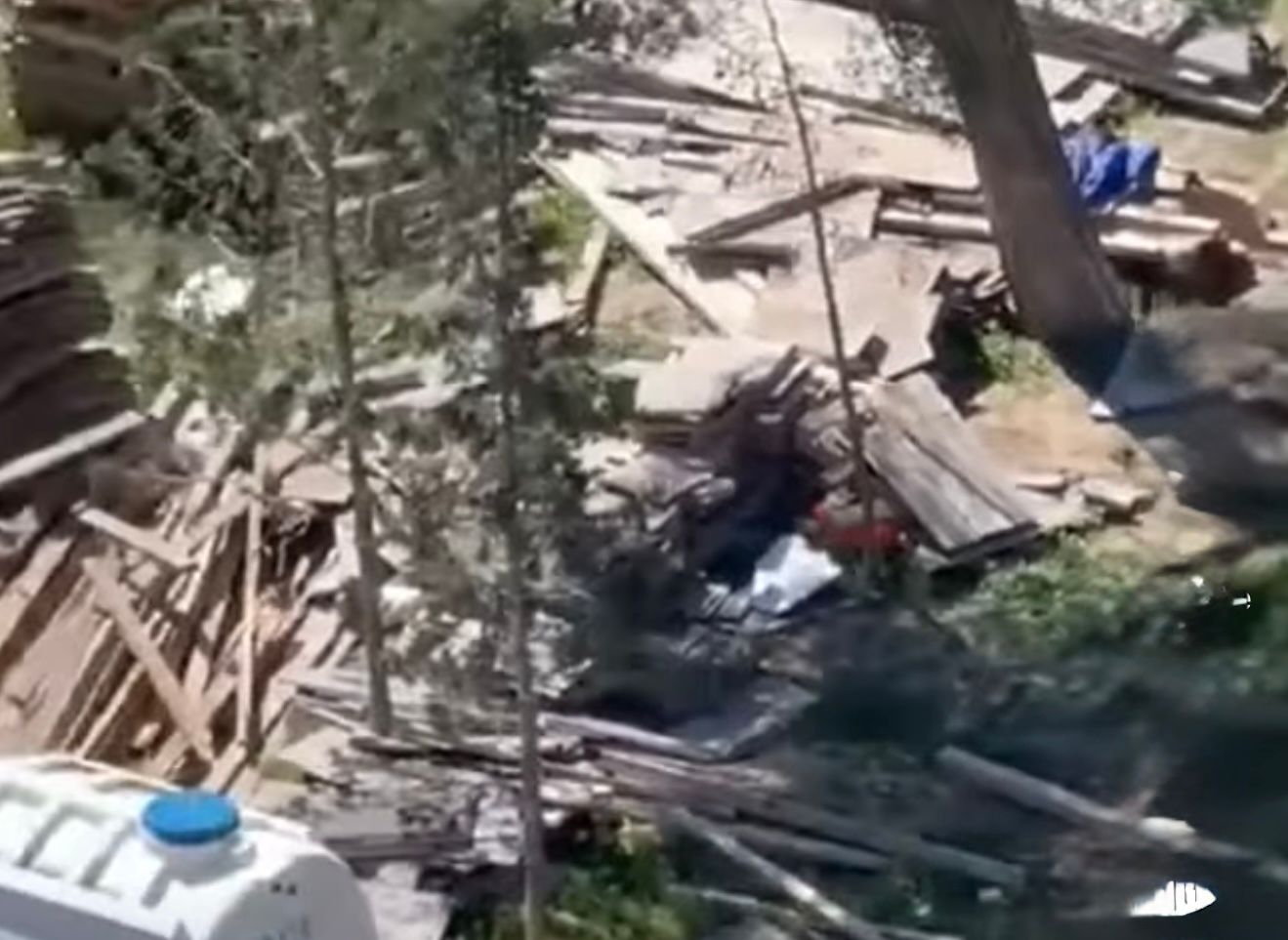 Sumqayıtda ağac kəsilmə faktı üzə prosessual araşdırma aparılır - Şəkil 3