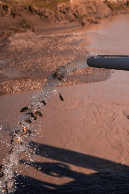 Qaxda Axar-Baxar Milli Parkının açılışı olub - Şəkil 8