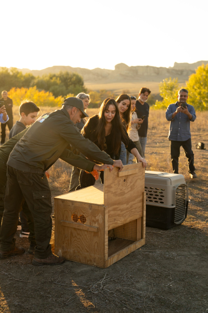 Qaxda Axar-Baxar Milli Parkının açılışı olub - Şəkil 16