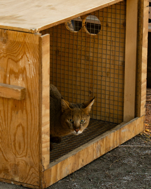Qaxda Axar-Baxar Milli Parkının açılışı olub - Şəkil 20