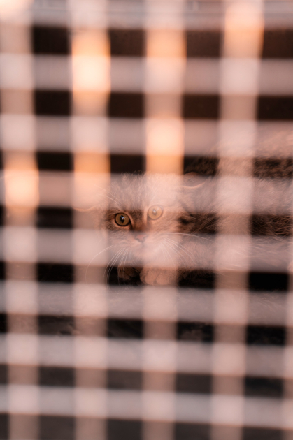 Qaxda Axar-Baxar Milli Parkının açılışı olub - Şəkil 27