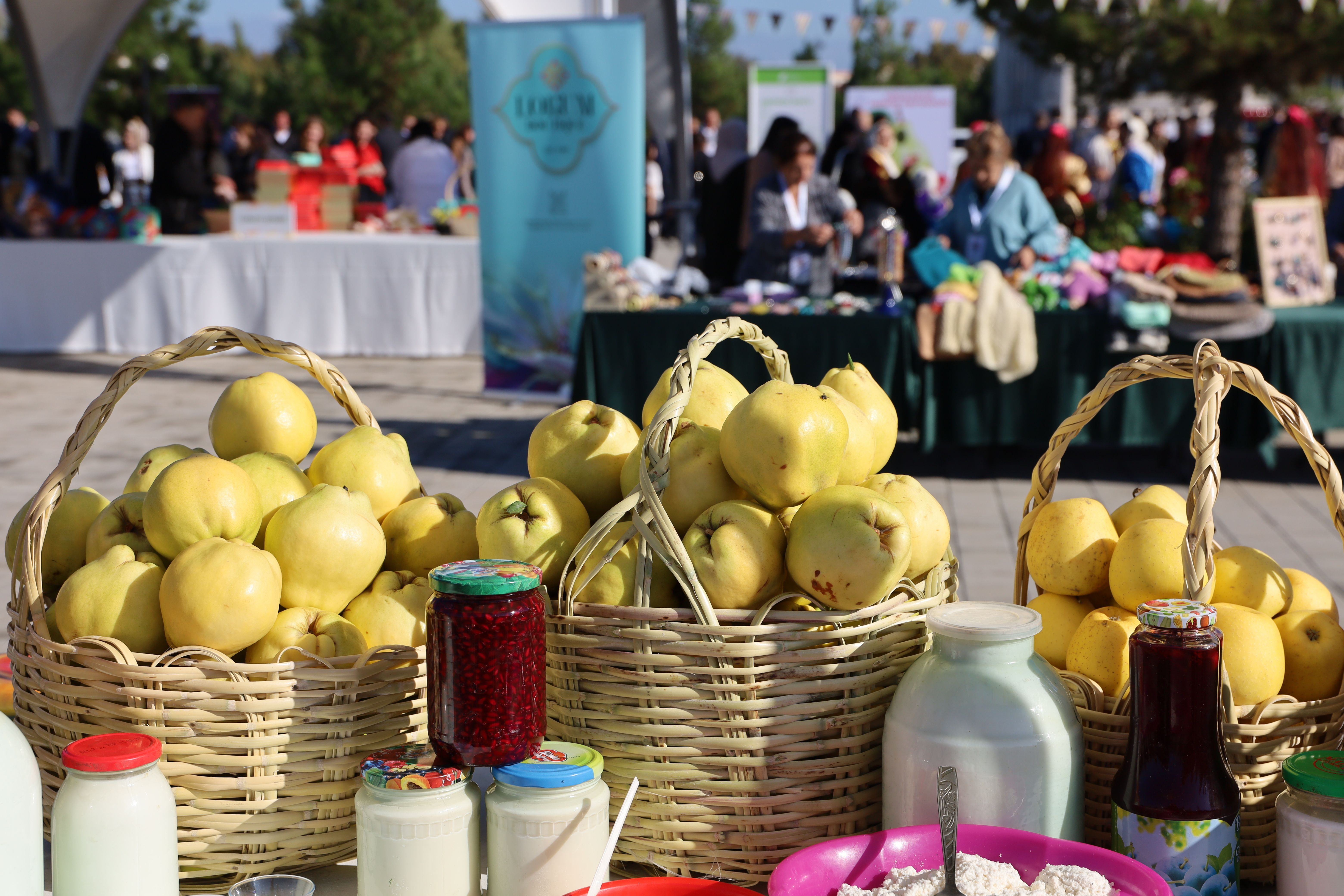 Ağdaşda Aqrar Biznes festivalları keçirilib