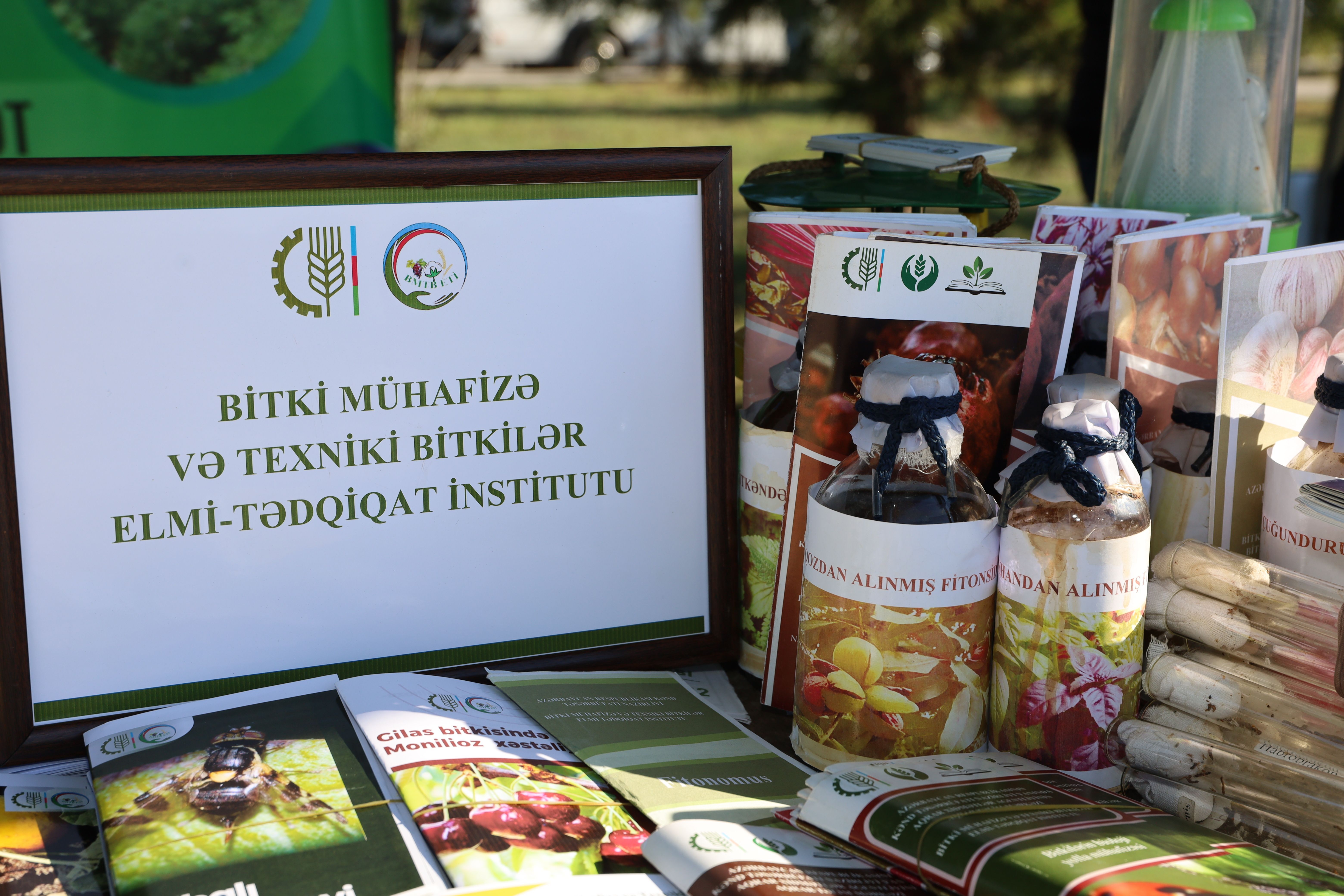 Ağdaşda Aqrar Biznes festivalları keçirilib - Şəkil 2