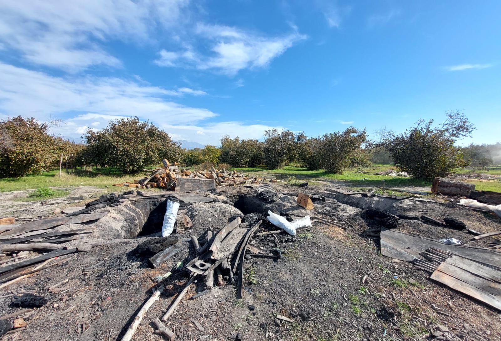 Oğuzda qanunsuz kömür quyuları aşkarlanıb - Şəkil 1