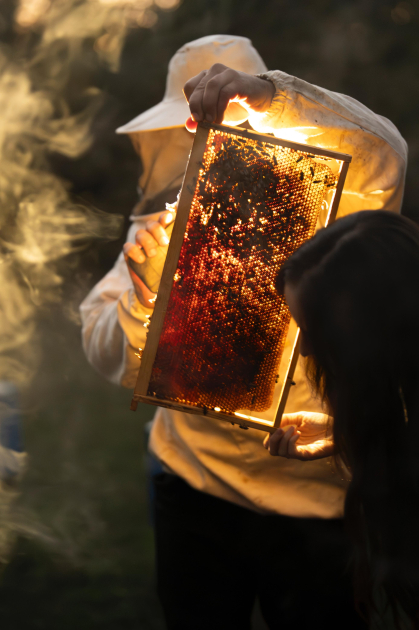 Leyla Əliyeva Qəbələdə “Gənc arıçı” layihəsinin iştirakçısı ilə görüşüb - Şəkil 13