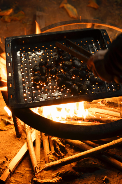 Leyla Əliyeva Qəbələdə “Gənc arıçı” layihəsinin iştirakçısı ilə görüşüb - Şəkil 14