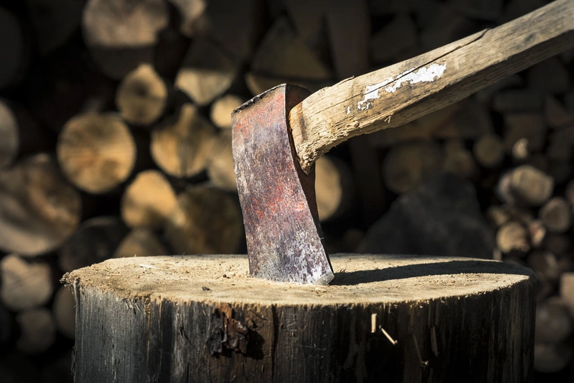 Yaşıllıqlara 75 min manatdan çox ziyan dəyib