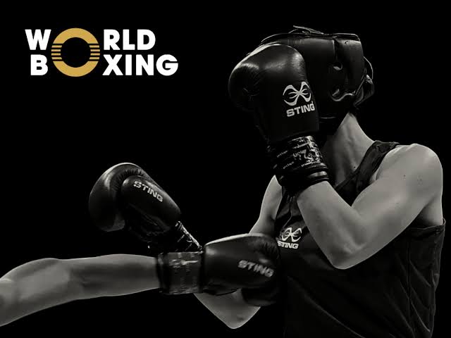 "World Boxing" yeni reytinq cədvəlini açıqladı