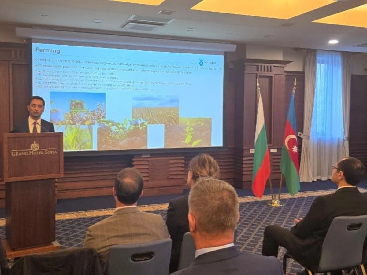 Bolqarıstan-Azərbaycan biznes forumu keçirilib  - Şəkil 4