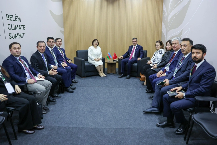 Sahibə Qafarova Türkiyənin vitse- prezidenti ilə COP29-un nailiyyətlərini müzakirə edib - YENİLƏNİB