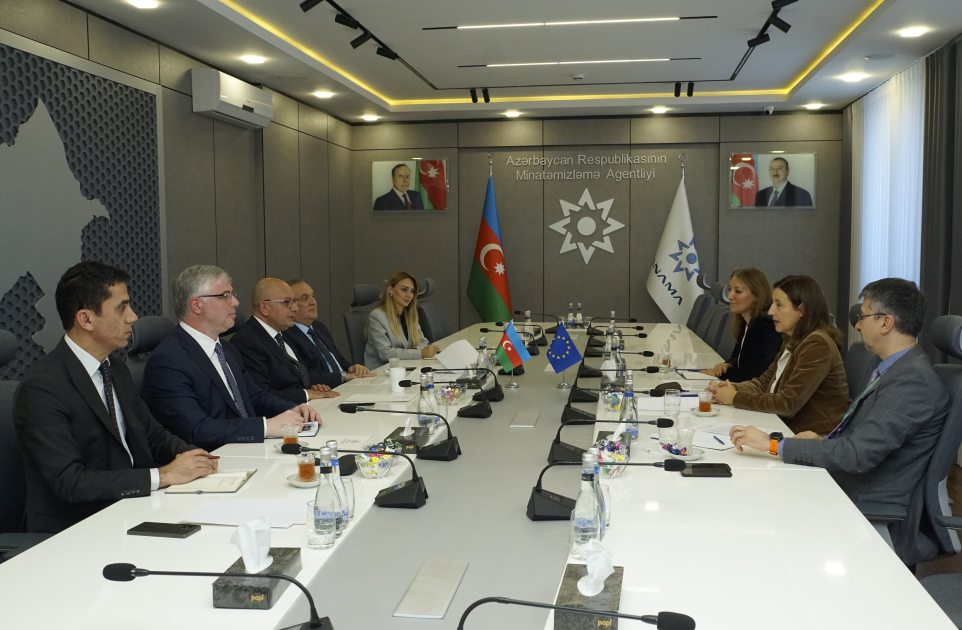 ANAMA-da Aİ-nın Azərbaycandakı nümayəndəliyinin rəhbəri ilə müzakirələr aparılıb - Foto